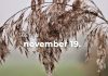 November 19.