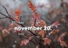 November 20. Kvíz - november 20.