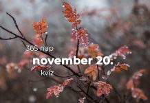November 20. Kvíz - november 20.