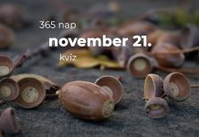 November 21. Kvíz - november 21.