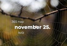 November 25. Kvíz - november 25.