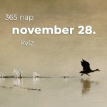 November 28. Kvíz - november 28.