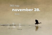 November 28. Kvíz - november 28.