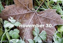 November 30. Kvíz - november 30.