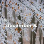 December 5. Kvíz - december 5.