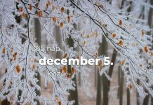 December 5. Kvíz - december 5.