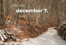 December 7. Kvíz - december 7.