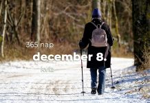 December 8. Kvíz - december 8.