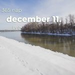 December 11. Kvíz - december 11.
