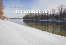 December 11. Kvíz - december 11.