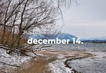 December 14. Kvíz - december 14.