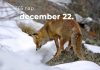 December 22. Kvíz - december 22.