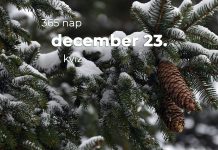 December 23. Kvíz - december 23.